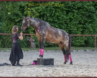2-13JUIN 0135